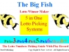 big-fish-lotto-book-cover